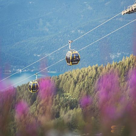 Apartement Zwoelferhorn Sankt Gilgen Kültér fotó